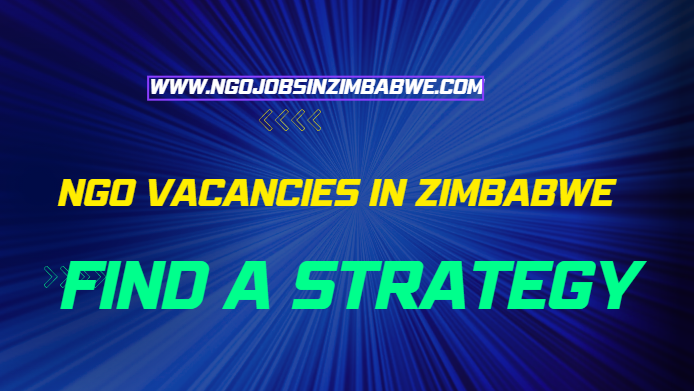 NGO Vacancies in Zimbabwe
