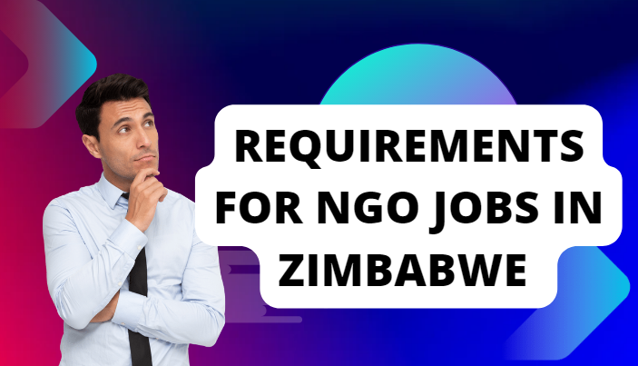 Requirements for NGO Jobs in Zimbabwe 